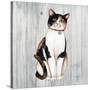 Country Kitty III on Wood-David Cater Brown-Stretched Canvas