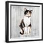 Country Kitty III on Wood-David Cater Brown-Framed Art Print