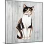 Country Kitty III on Wood-David Cater Brown-Mounted Art Print