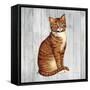 Country Kitty IV on Wood-David Cater Brown-Framed Stretched Canvas