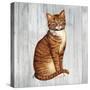 Country Kitty IV on Wood-David Cater Brown-Stretched Canvas