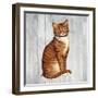 Country Kitty IV on Wood-David Cater Brown-Framed Art Print