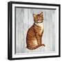 Country Kitty IV on Wood-David Cater Brown-Framed Art Print