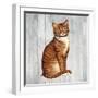 Country Kitty IV on Wood-David Cater Brown-Framed Art Print