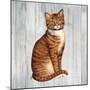 Country Kitty IV on Wood-David Cater Brown-Mounted Art Print