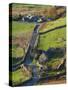 Country lane and houses, Snowdonia, North Wales-Peter Adams-Stretched Canvas