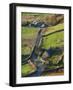 Country lane and houses, Snowdonia, North Wales-Peter Adams-Framed Photographic Print