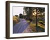 Country Lane at Sunrise, with Sun Shining Through Trees, Near Pienza, Tuscany, Italy, Europe-Lee Frost-Framed Photographic Print