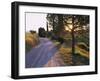 Country Lane at Sunrise, with Sun Shining Through Trees, Near Pienza, Tuscany, Italy, Europe-Lee Frost-Framed Photographic Print