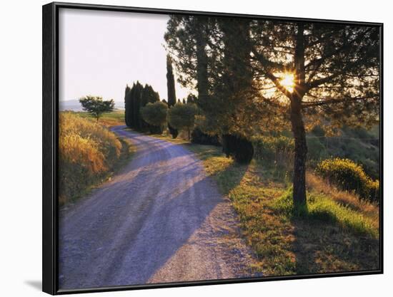 Country Lane at Sunrise, with Sun Shining Through Trees, Near Pienza, Tuscany, Italy, Europe-Lee Frost-Framed Photographic Print