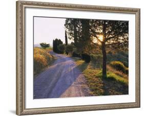 Country Lane at Sunrise, with Sun Shining Through Trees, Near Pienza, Tuscany, Italy, Europe-Lee Frost-Framed Photographic Print