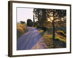 Country Lane at Sunrise, with Sun Shining Through Trees, Near Pienza, Tuscany, Italy, Europe-Lee Frost-Framed Photographic Print