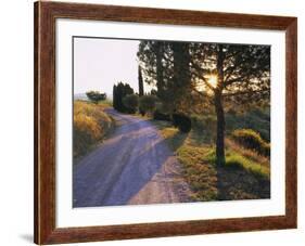 Country Lane at Sunrise, with Sun Shining Through Trees, Near Pienza, Tuscany, Italy, Europe-Lee Frost-Framed Photographic Print