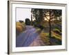 Country Lane at Sunrise, with Sun Shining Through Trees, Near Pienza, Tuscany, Italy, Europe-Lee Frost-Framed Photographic Print