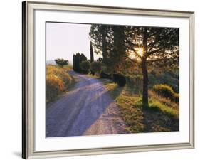 Country Lane at Sunrise, with Sun Shining Through Trees, Near Pienza, Tuscany, Italy, Europe-Lee Frost-Framed Photographic Print