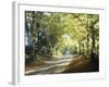 Country Lane Cotswolds England-null-Framed Photographic Print