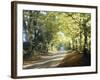 Country Lane Cotswolds England-null-Framed Photographic Print