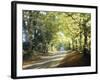 Country Lane Cotswolds England-null-Framed Photographic Print