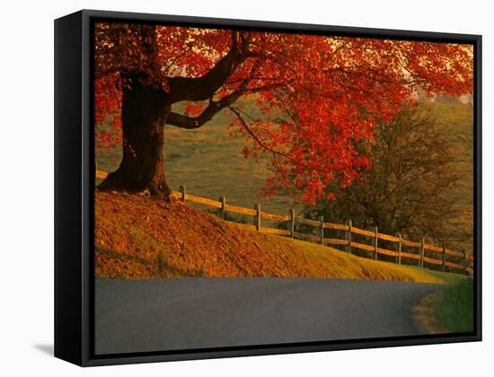Country Lane, Faquier County, Virginia, USA-Kenneth Garrett-Framed Stretched Canvas