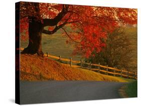 Country Lane, Faquier County, Virginia, USA-Kenneth Garrett-Stretched Canvas