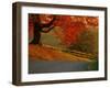 Country Lane, Faquier County, Virginia, USA-Kenneth Garrett-Framed Photographic Print