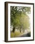 Country Lane, Great Smokey Mountains National Park, Tennessee, USA-Adam Jones-Framed Photographic Print