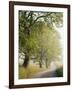 Country Lane, Great Smokey Mountains National Park, Tennessee, USA-Adam Jones-Framed Photographic Print