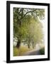 Country Lane, Great Smokey Mountains National Park, Tennessee, USA-Adam Jones-Framed Photographic Print