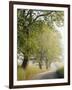 Country Lane, Great Smokey Mountains National Park, Tennessee, USA-Adam Jones-Framed Photographic Print