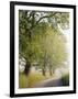 Country Lane, Great Smokey Mountains National Park, Tennessee, USA-Adam Jones-Framed Photographic Print