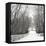Country Lane in Winter-Nicholas Bell-Framed Stretched Canvas
