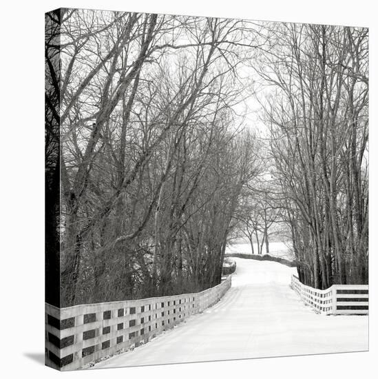 Country Lane in Winter-Nicholas Bell-Stretched Canvas