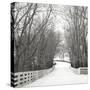 Country Lane in Winter-Nicholas Bell-Stretched Canvas