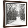 Country Lane in Winter-Nicholas Bell-Framed Photographic Print