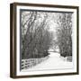 Country Lane in Winter-Nicholas Bell-Framed Photographic Print