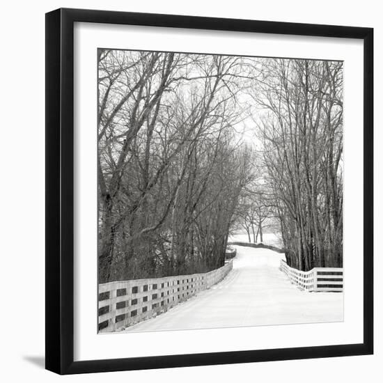 Country Lane in Winter-Nicholas Bell-Framed Photographic Print