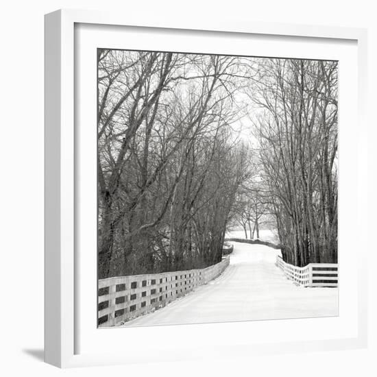 Country Lane in Winter-Nicholas Bell-Framed Photographic Print