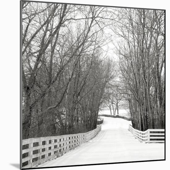 Country Lane in Winter-Nicholas Bell-Mounted Photographic Print