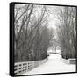 Country Lane in Winter-Nicholas Bell-Framed Stretched Canvas