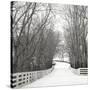 Country Lane in Winter-Nicholas Bell-Stretched Canvas