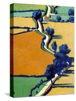 Country Lane Spring II-Paul Powis-Stretched Canvas