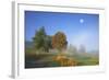 Country Lane Through the Meadows of the Eastern Rhšn Near Breitungen, Fog, Decreasing Moon-Uwe Steffens-Framed Photographic Print