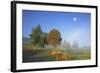 Country Lane Through the Meadows of the Eastern Rhšn Near Breitungen, Fog, Decreasing Moon-Uwe Steffens-Framed Photographic Print