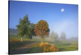 Country Lane Through the Meadows of the Eastern Rhšn Near Breitungen, Fog, Decreasing Moon-Uwe Steffens-Stretched Canvas