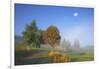 Country Lane Through the Meadows of the Eastern Rhšn Near Breitungen, Fog, Decreasing Moon-Uwe Steffens-Framed Photographic Print