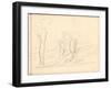 Country Lane with Trees (Pencil on Paper)-Claude Monet-Framed Giclee Print