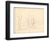 Country Lane with Trees (Pencil on Paper)-Claude Monet-Framed Giclee Print