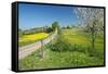 Country Lane-Bjorn Svensson-Framed Stretched Canvas