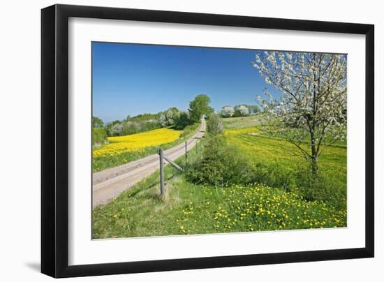 Country Lane-Bjorn Svensson-Framed Photographic Print