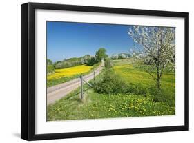 Country Lane-Bjorn Svensson-Framed Photographic Print